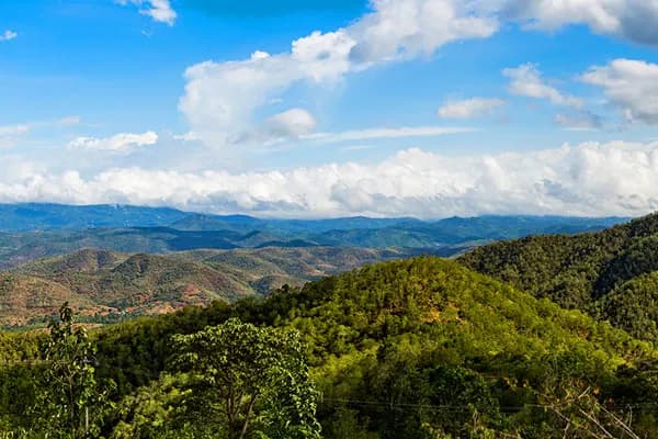 anaikatti view