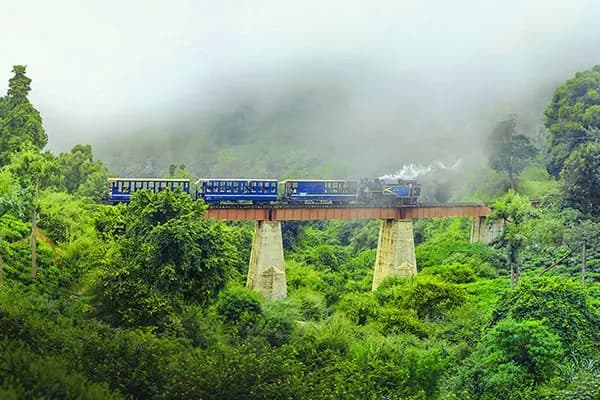 ooty view
