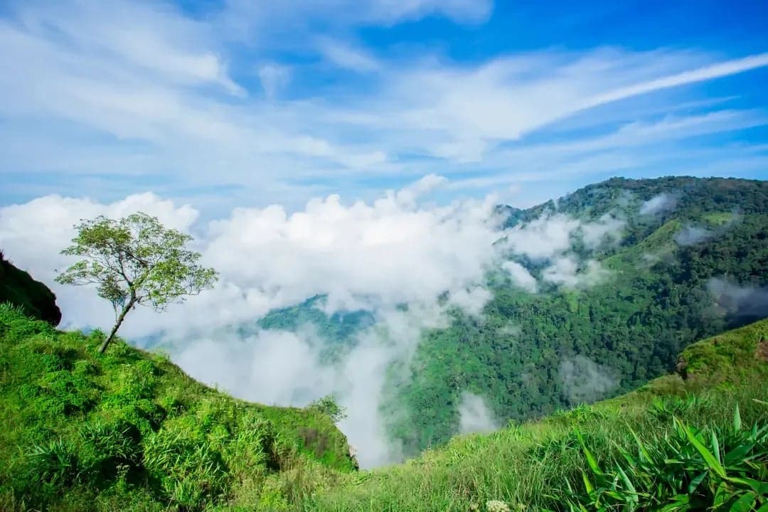 Kodaikanal