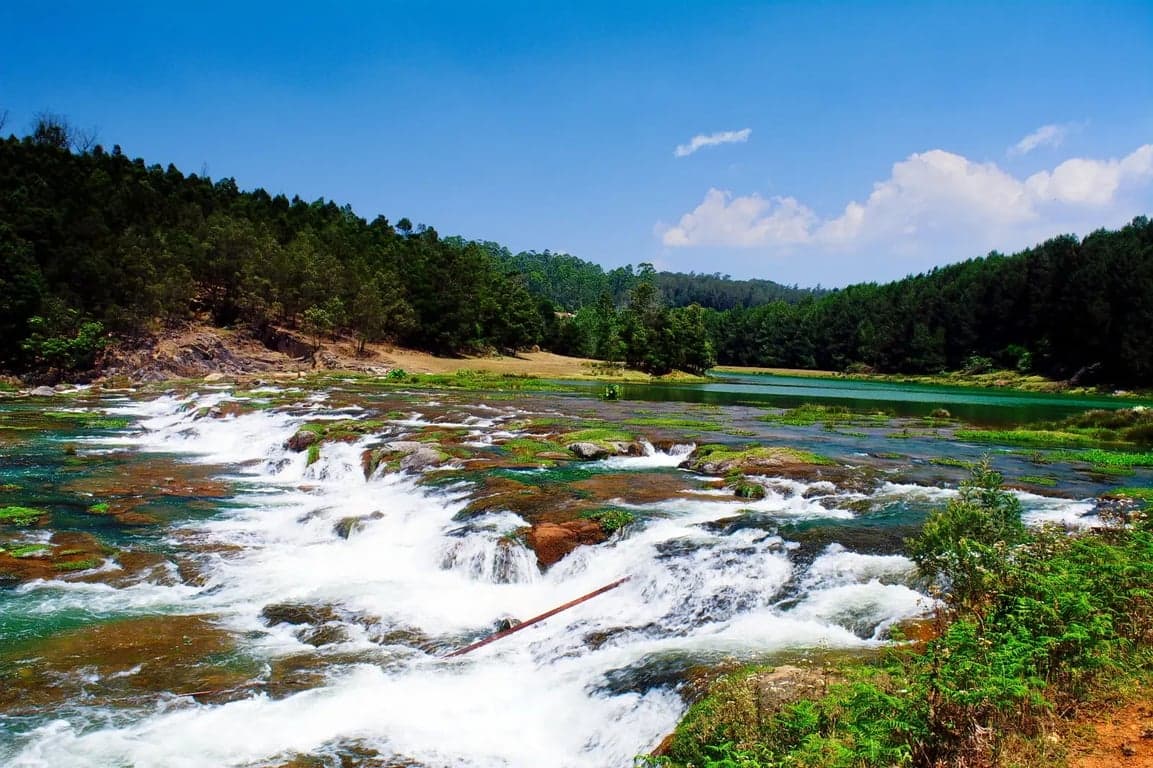 ooty view